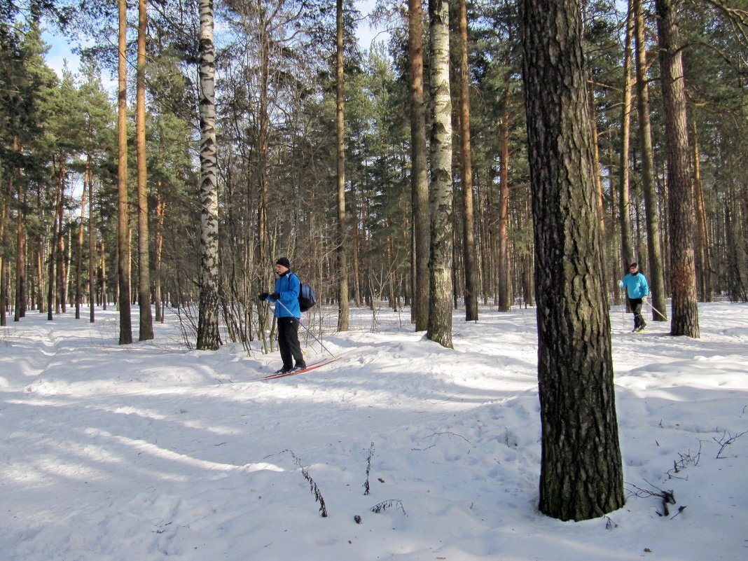 В парке - Вера Щукина