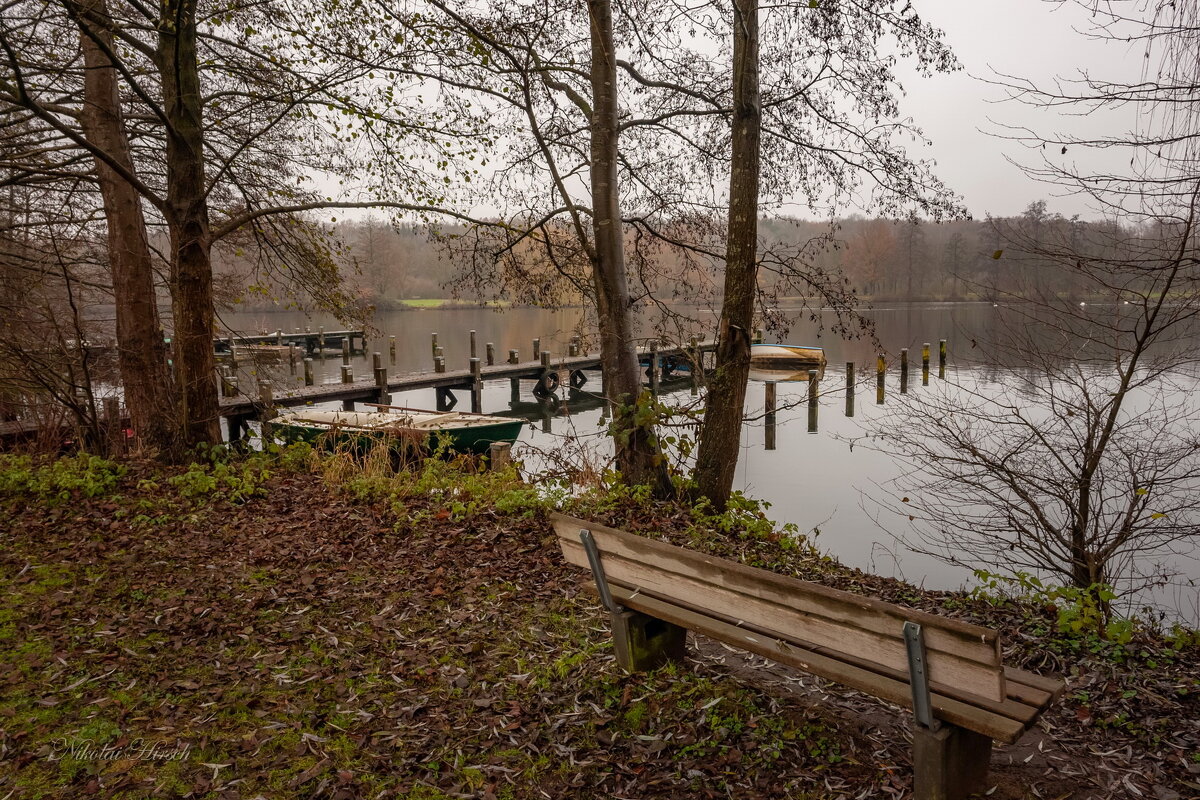 Декабрьские гулялки - Николай Гирш