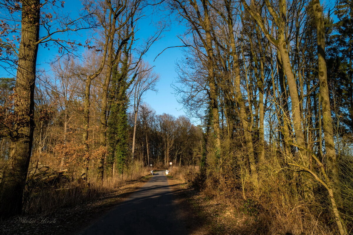 Прогулки за городом - Николай Гирш Прогулки за городом - Николай Гирш