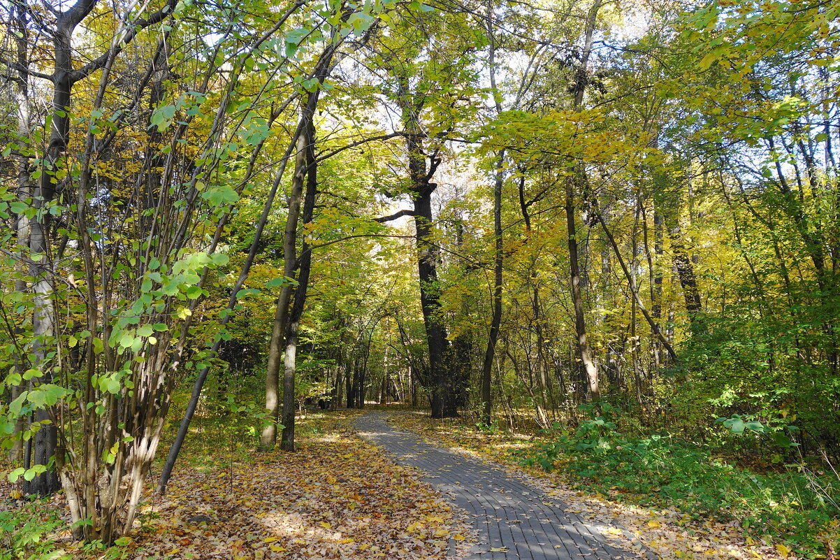 Парк Останкино - Маргарита Батырева