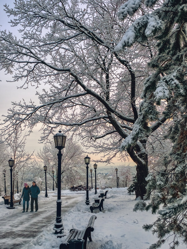 Прогулка - Сергей Шатохин 