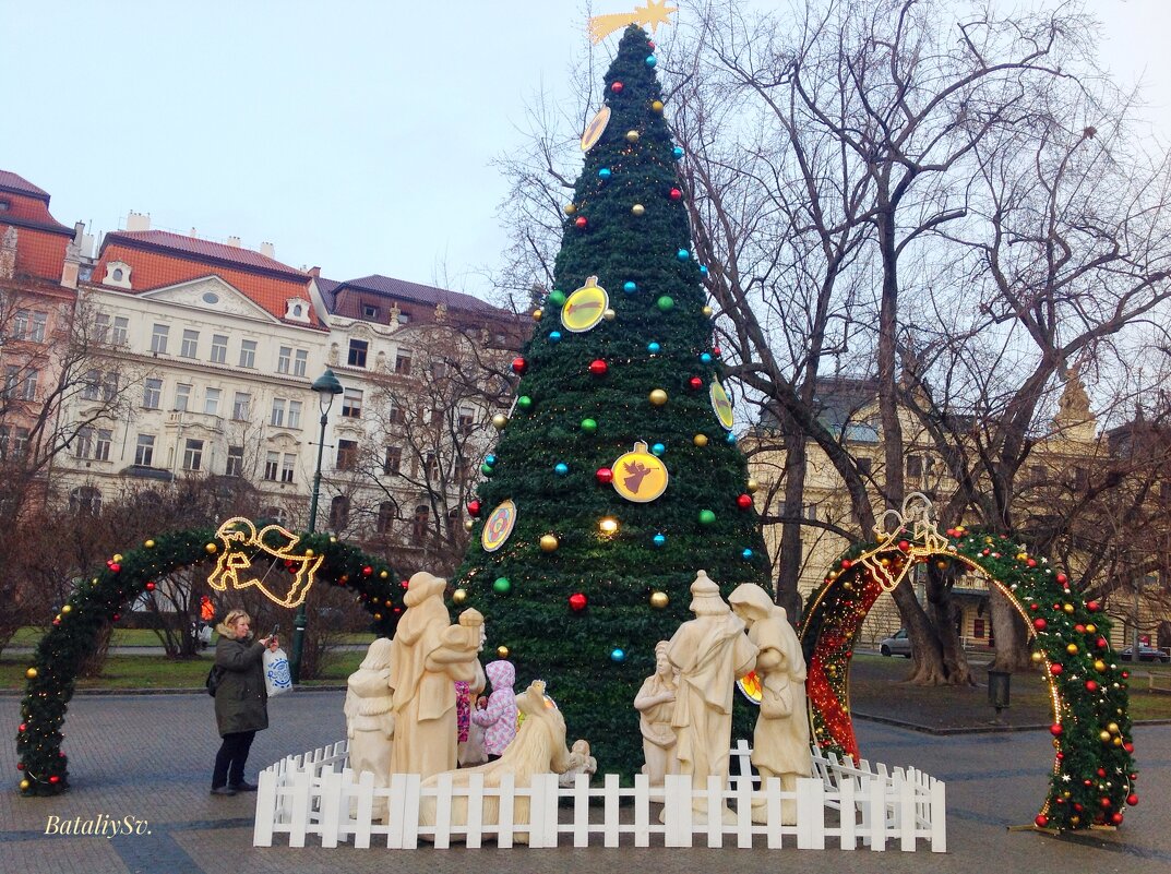 украшение площади - Светлана Баталий