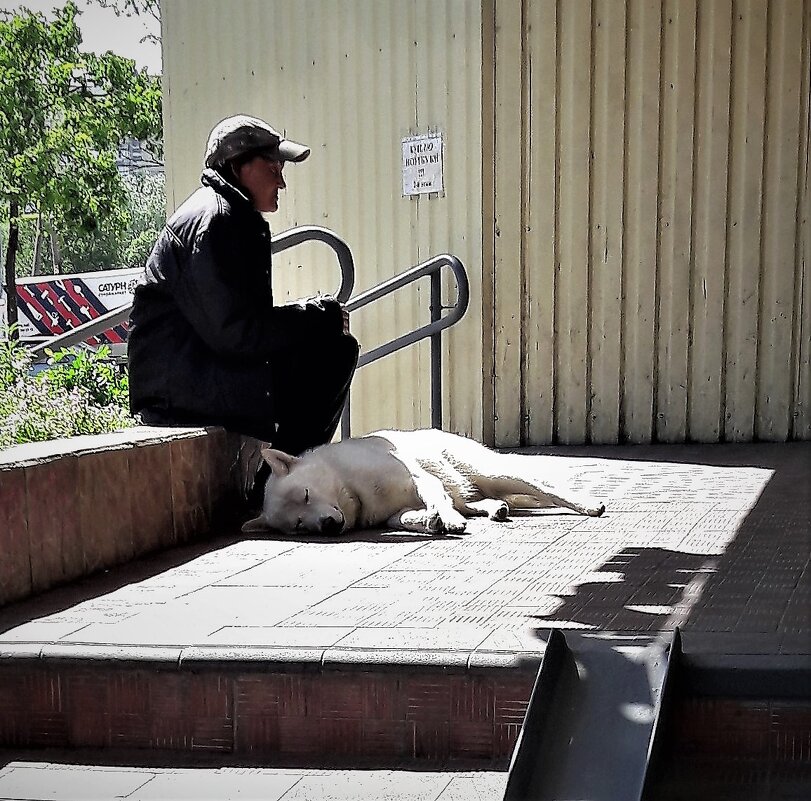 СЕ-ЛЯ-ВИ /2/ - Виктор Никитенко