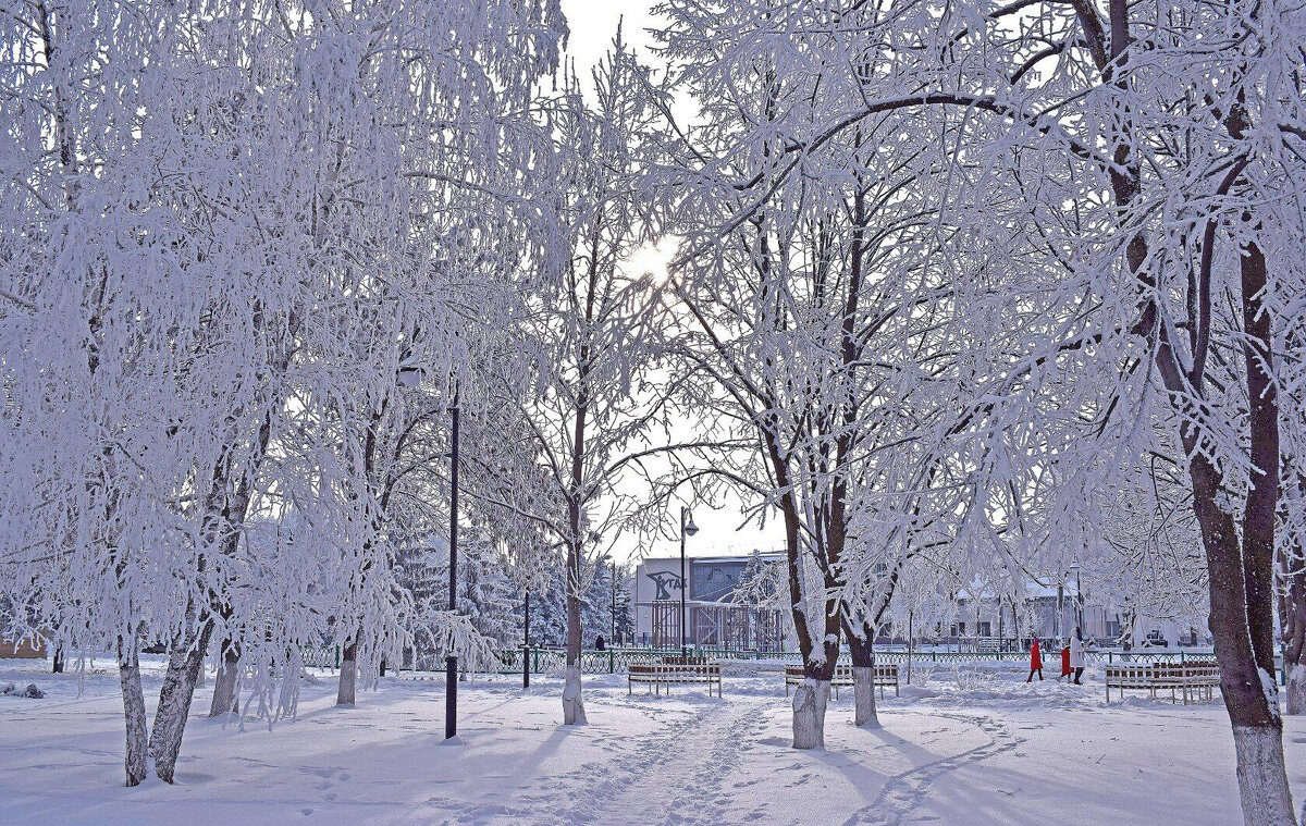 зима в кружевном наряде - татьяна 
