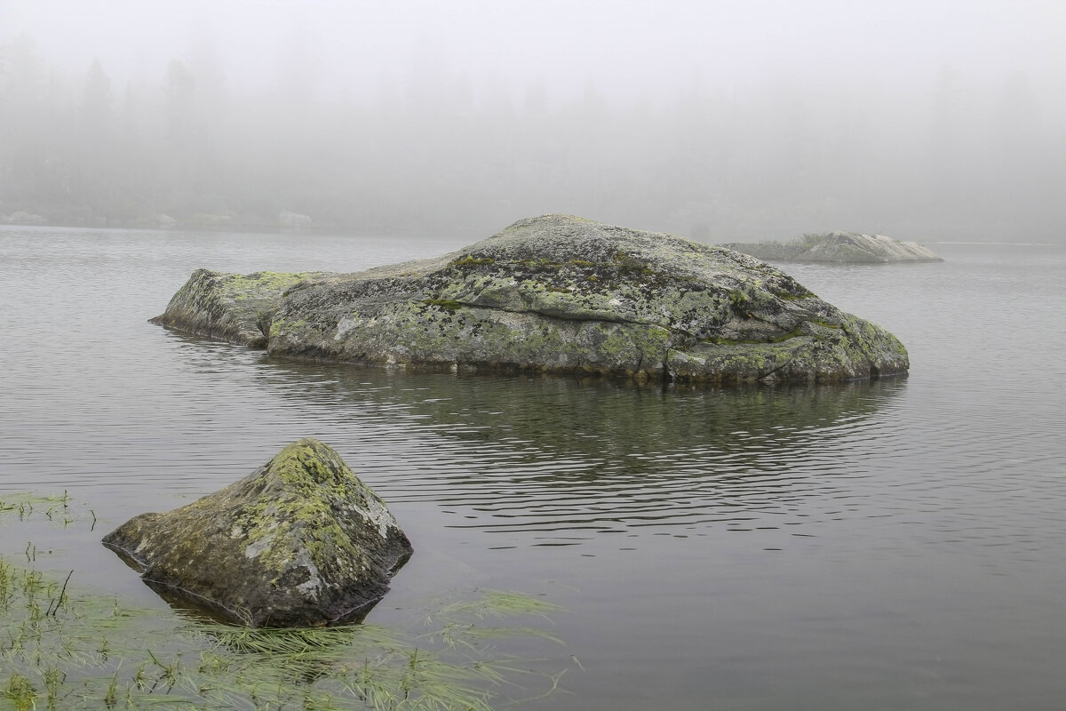 Голова Гены,который крокодил - Владимир Кириченко Голова Гены,который крокодил - Владимир Кириченко