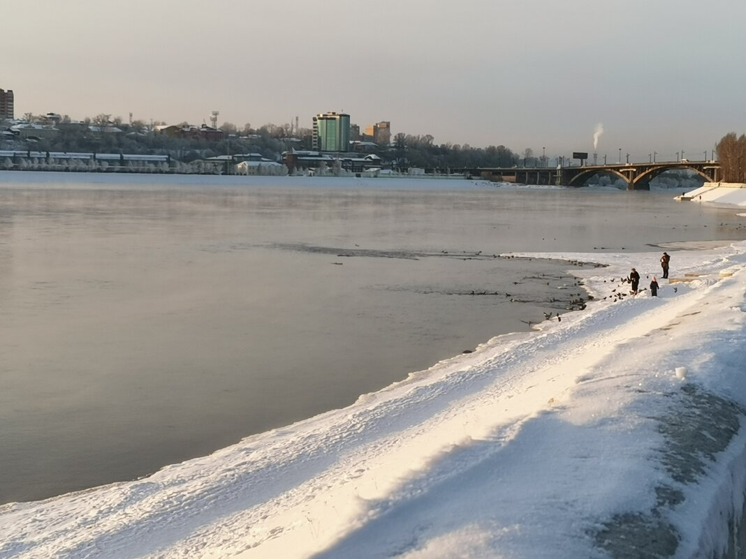 Зима в городе - Наталья Тимофеева