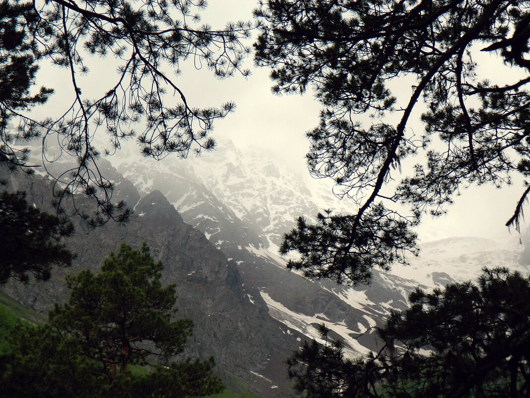 В Цейском ущелье - Павленко Михаил В Цейском ущелье - Павленко Михаил