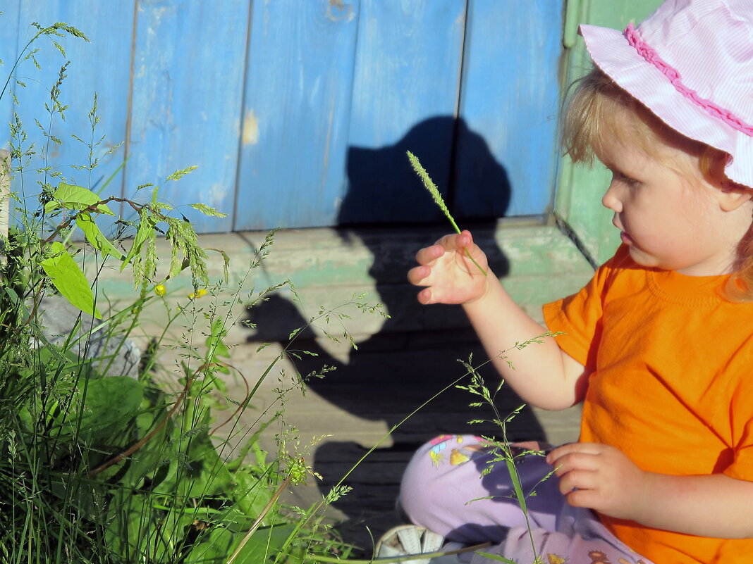 Чудо природы.. - Анатолий Безруков 