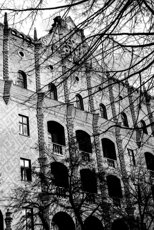 ,. - Гонорий Голопупенко