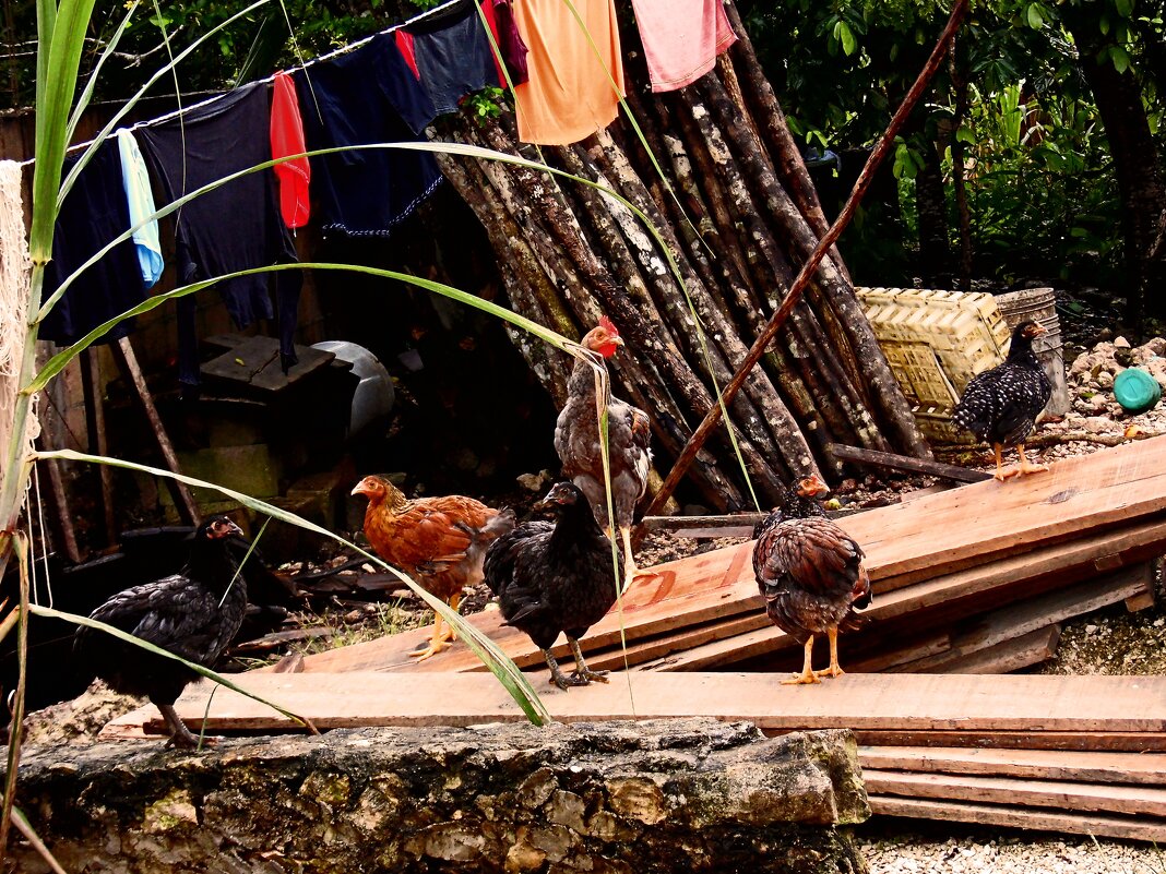 Мексиканский дневник 182 - Артём Кузнецов Мексиканский дневник 182 - Артём Кузнецов