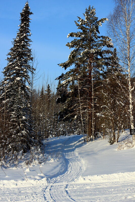 Прекрасный день!!! - Радмир Арсеньев