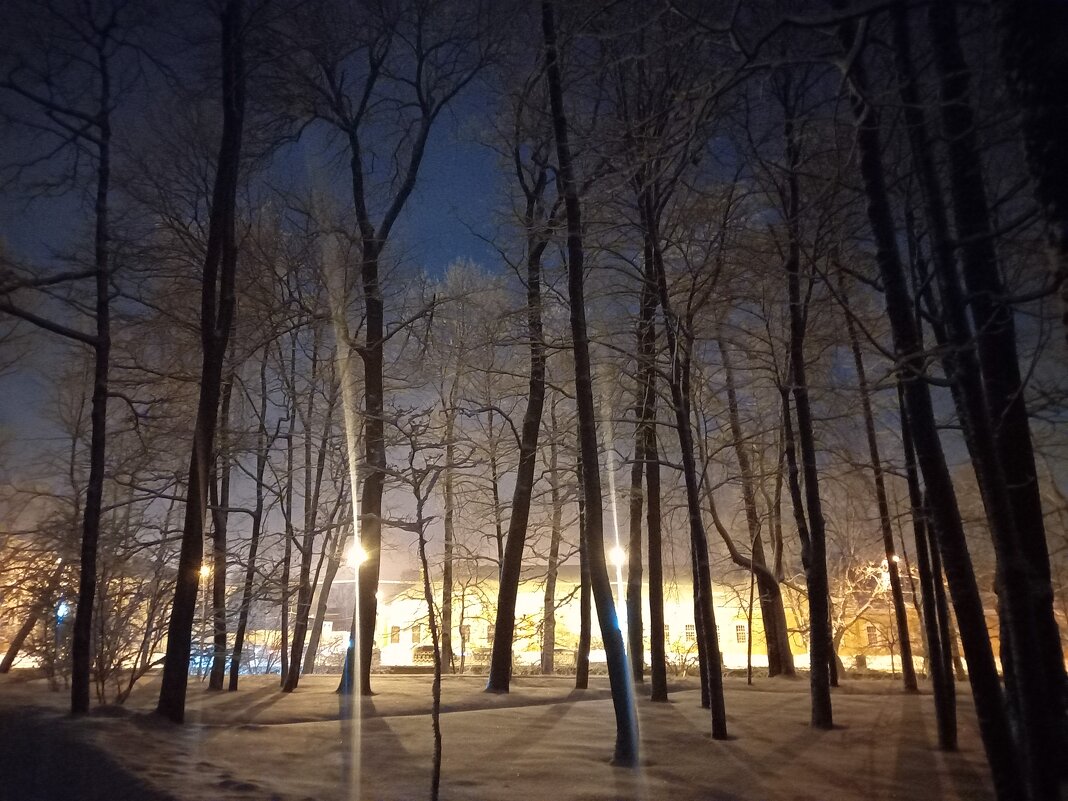 Утро - Сапсан 