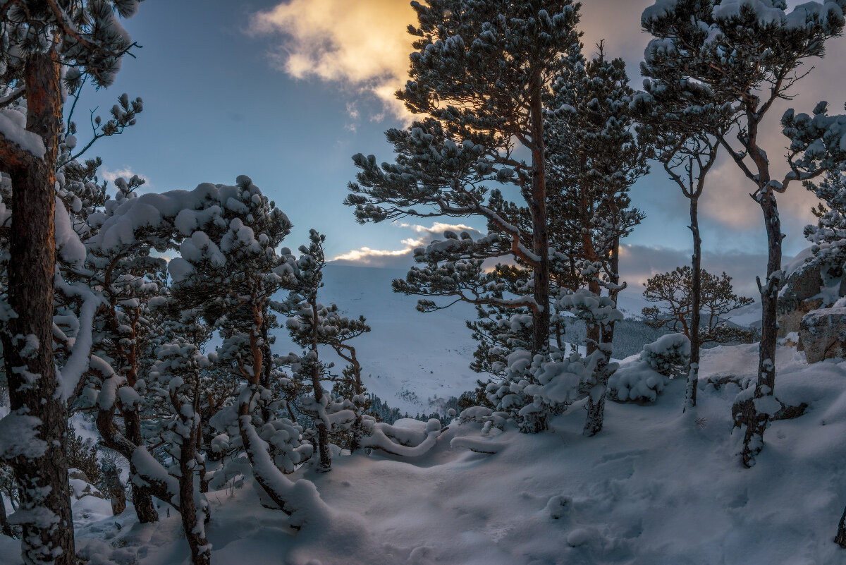 *** - Аnatoly Gaponenko