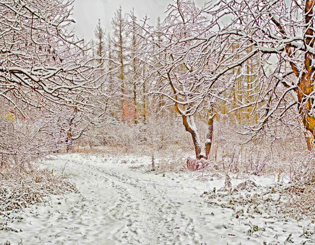 снег - юрий иванов снег - юрий иванов