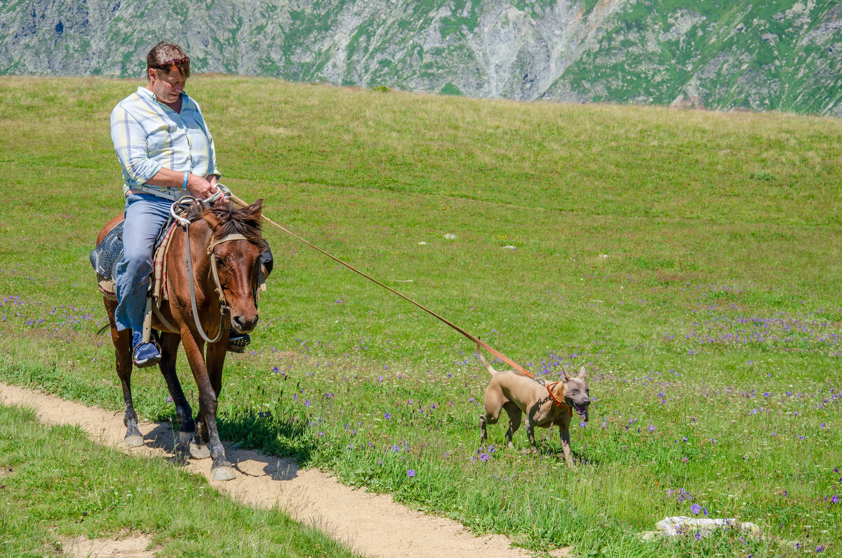 Даже в горы со своими питомцами - Александр Леонов Даже в горы со своими питомцами - Александр Леонов