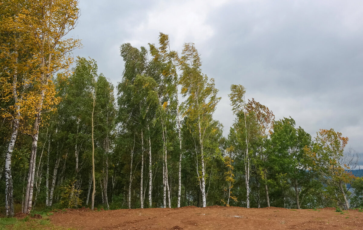 Норд-Вест - Евгения Кирильченко