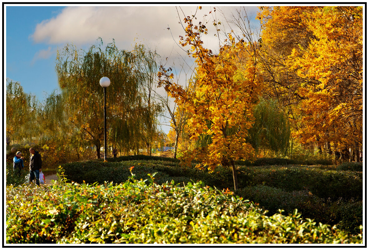 Зарисовка - Владимир Кроливец Зарисовка - Владимир Кроливец