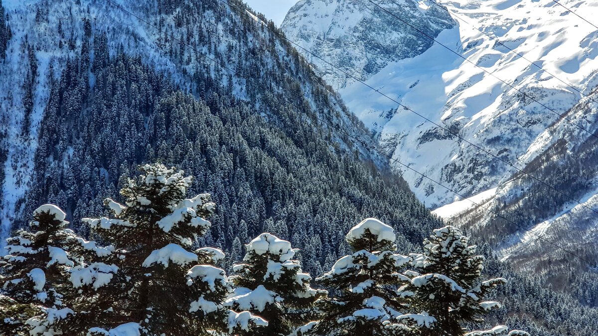 Мимо вершин - Вячеслав Случившийся Мимо вершин - Вячеслав Случившийся