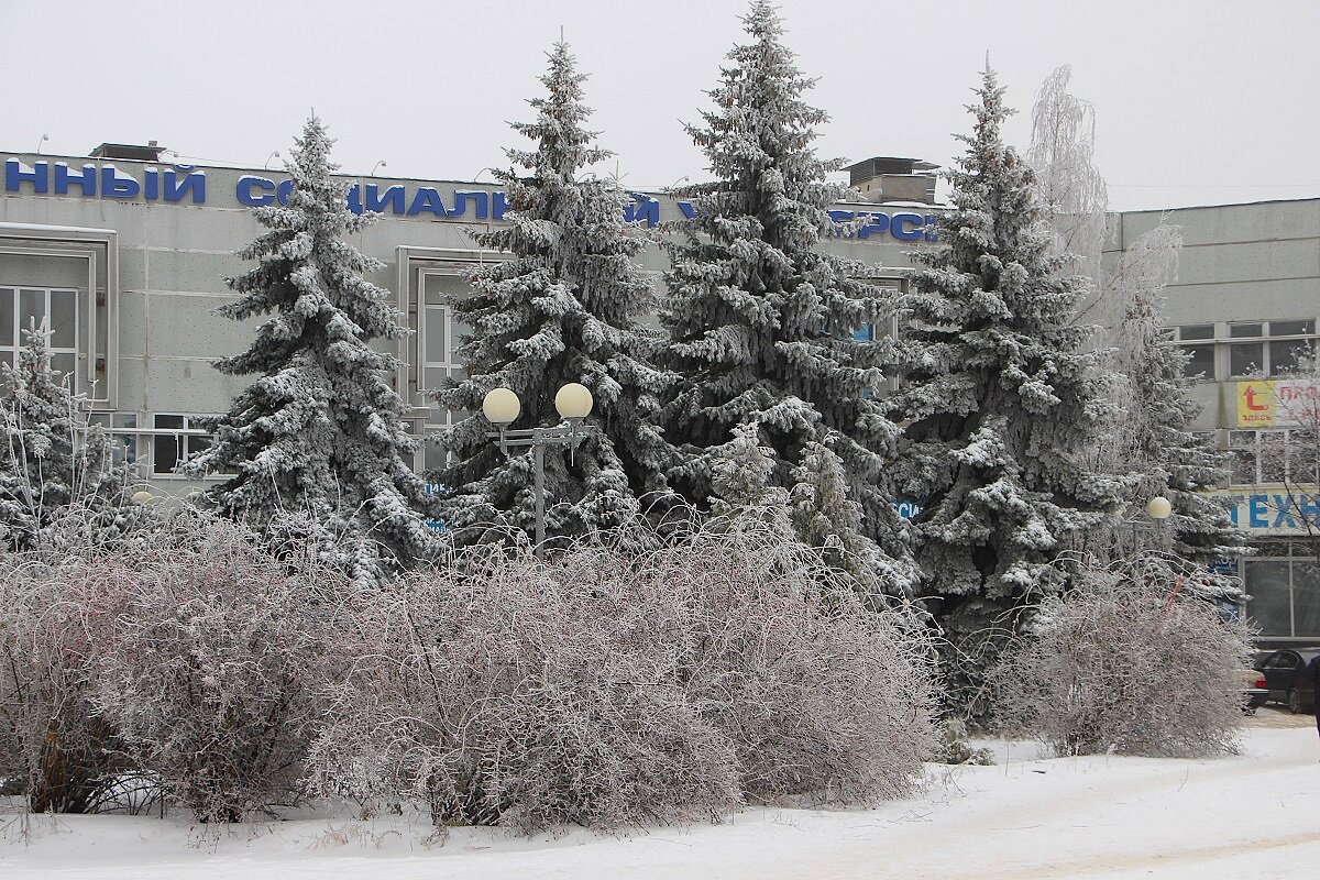 Просто зима на улице - Надежд@ Шавенкова