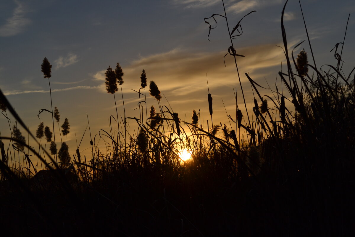 Солнце - Андрей Хлопонин Солнце - Андрей Хлопонин