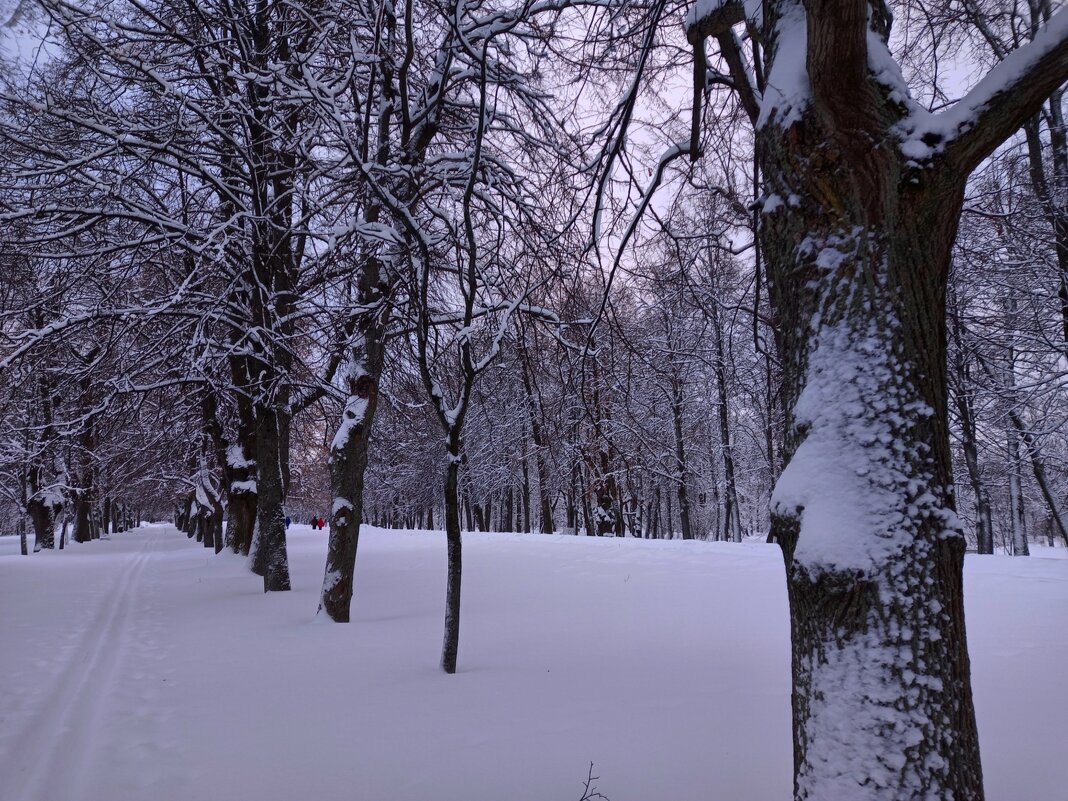 Закат - Сапсан 