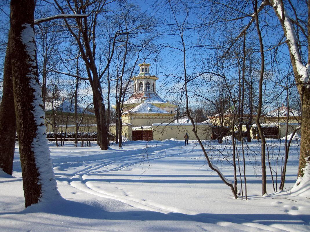 Прогулка в зимнем парке - dli1953 