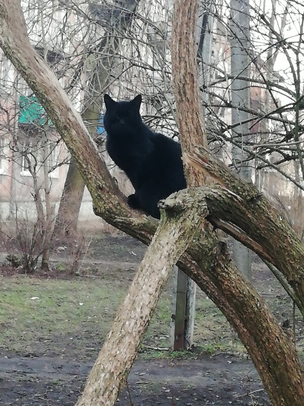 Ничего не вижу, ничего не слышу, ничего никому не скажу... - Людмила Жданова