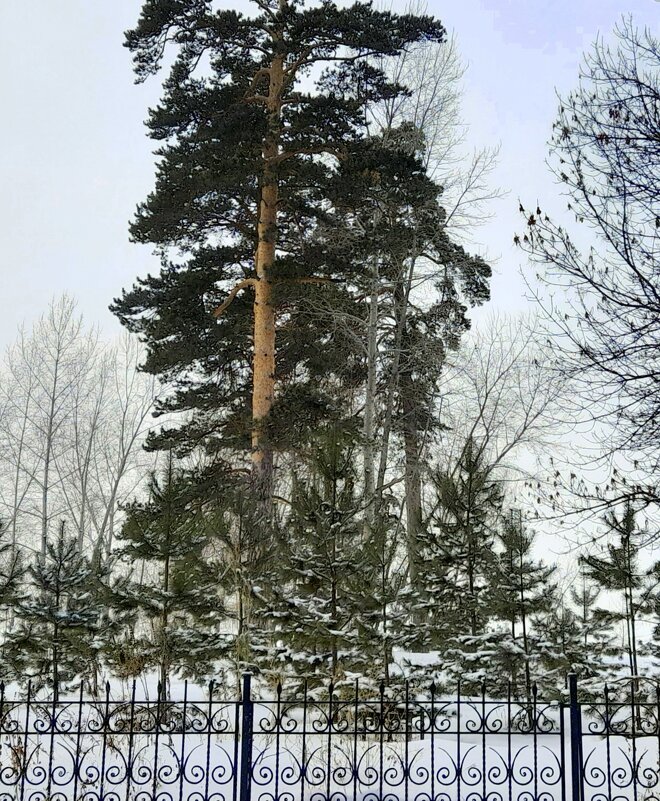 За заборчиком два поколения. - Мила Бовкун