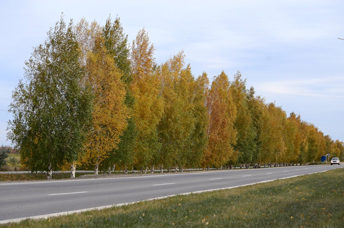 осень - Seda Yegiazaryan