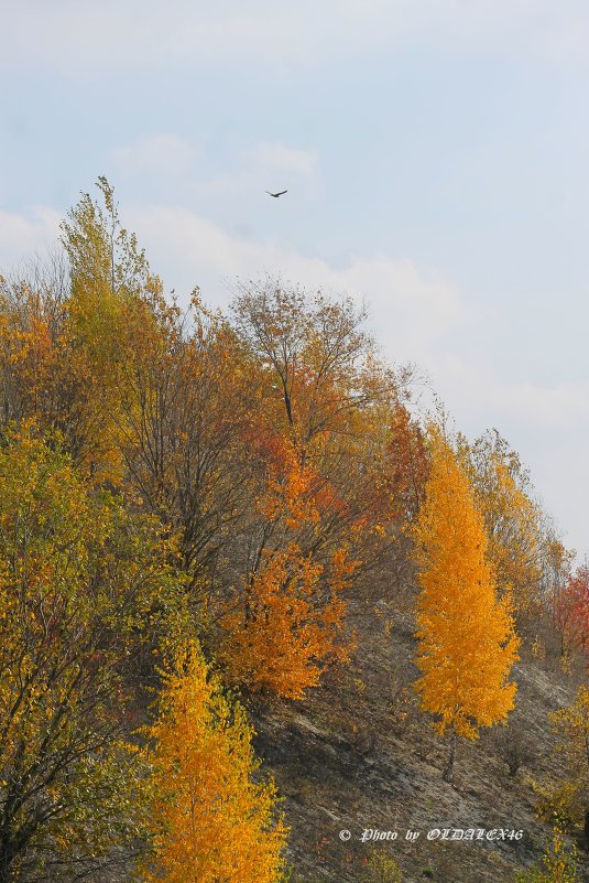 Поднимаясь.. - Александр Герасенков