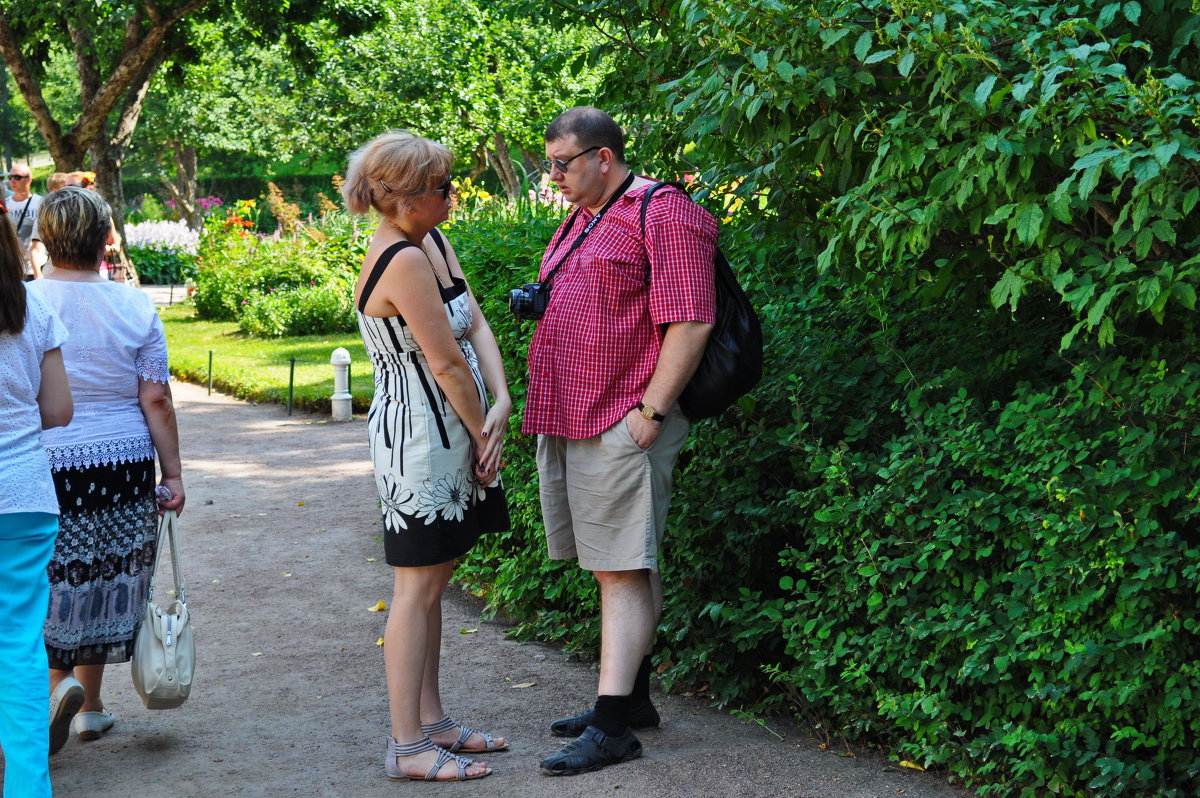 Куда пойдём обедать? - Владимир Константинов