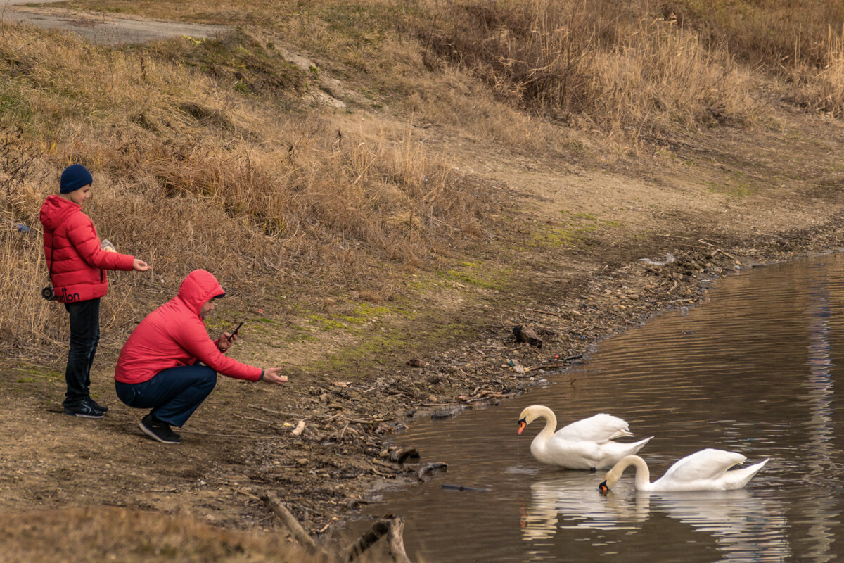 На городском водохранилище - Игорь Сикорский