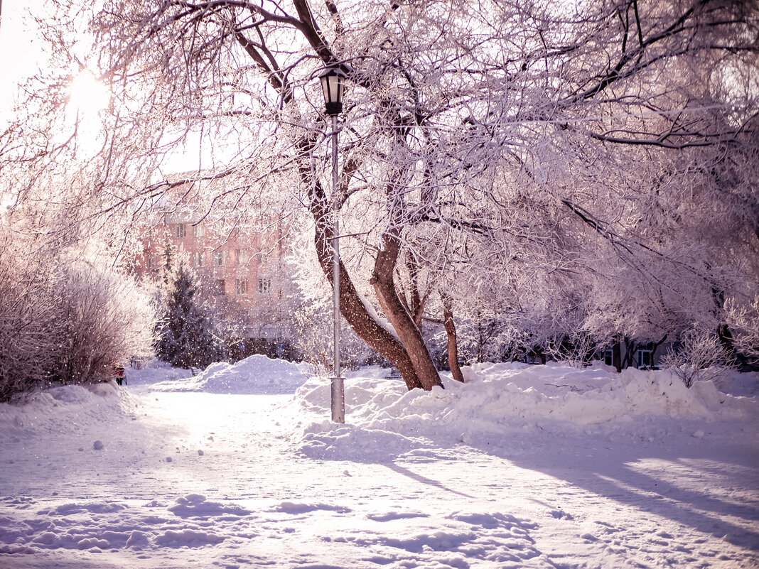 *** - Елена Берсенёва