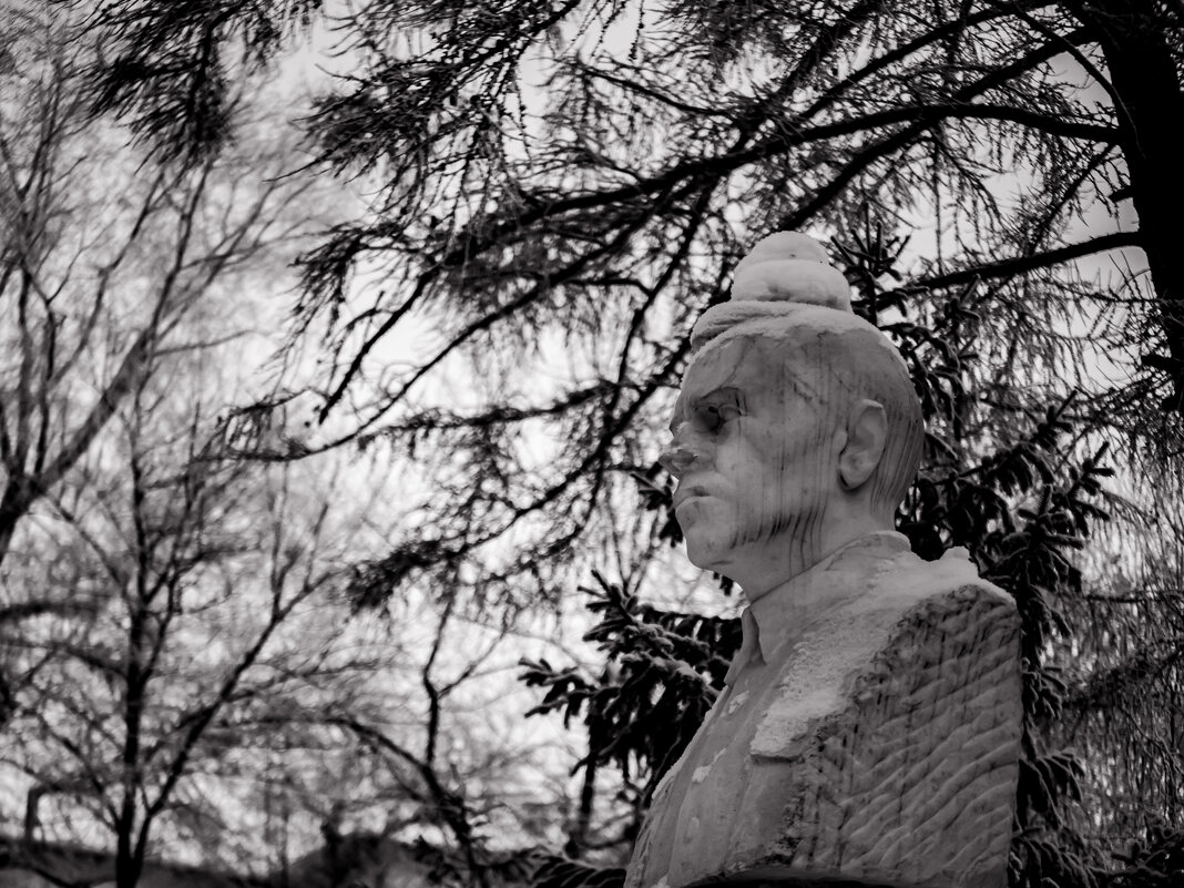 *** - Елена Берсенёва