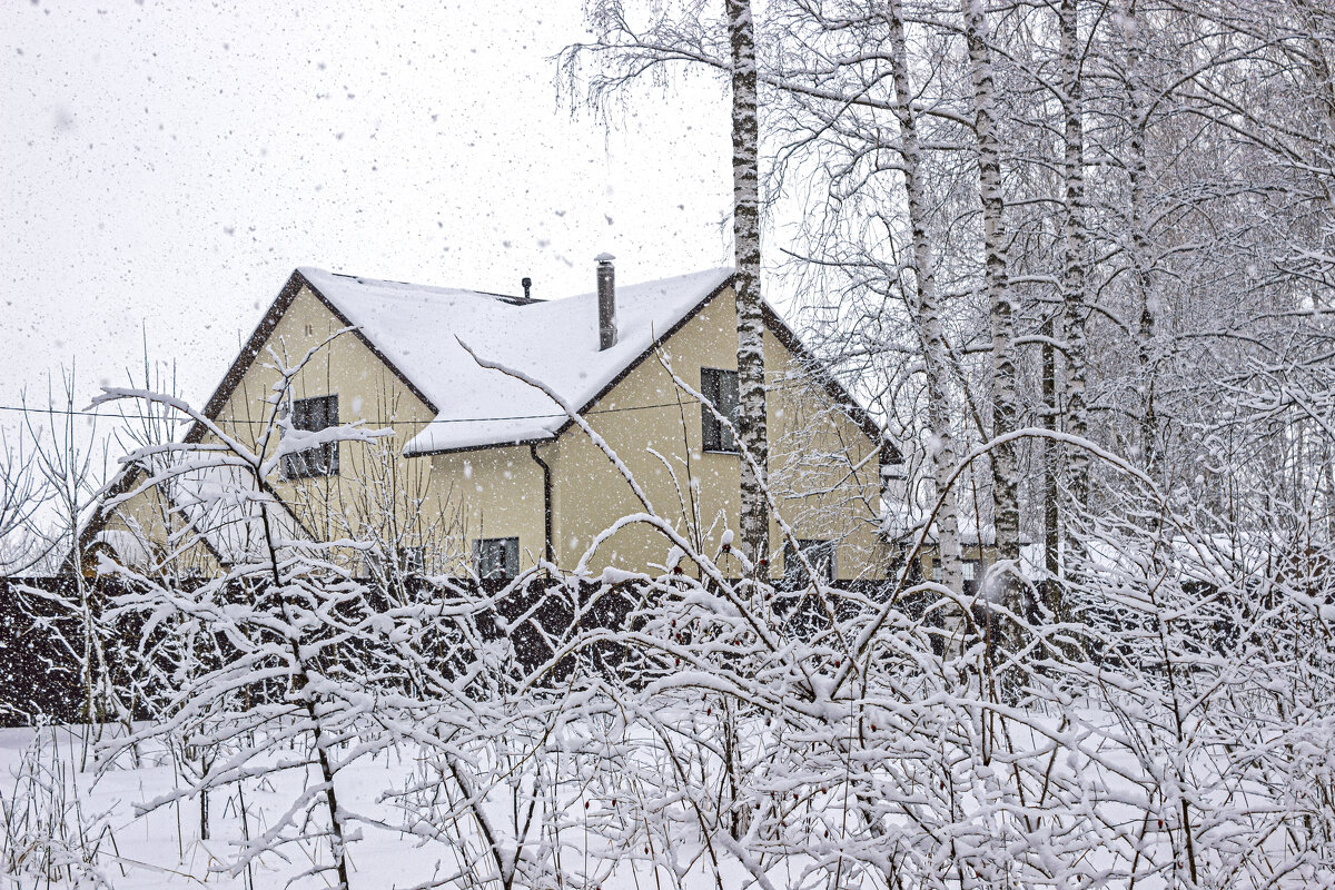 А снег идет - оксана 