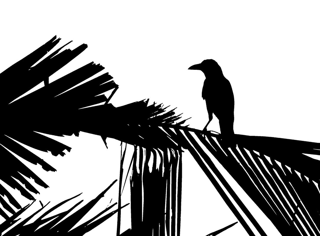 Ворон на пальме - Юрий Гилёв Ворон на пальме - Юрий Гилёв