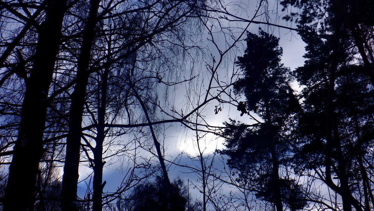 Природа, - Михаил Природа, - Михаил