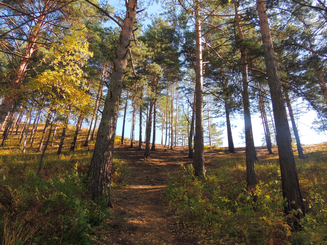 Подъём на хребет - Владимир Кириченко