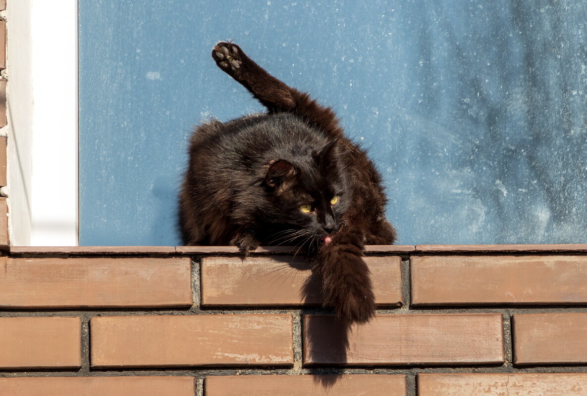 Совсем загорелый. - Анатолий. Chesnavik.