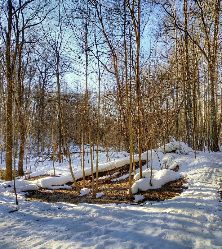 проталины - Валентина. .