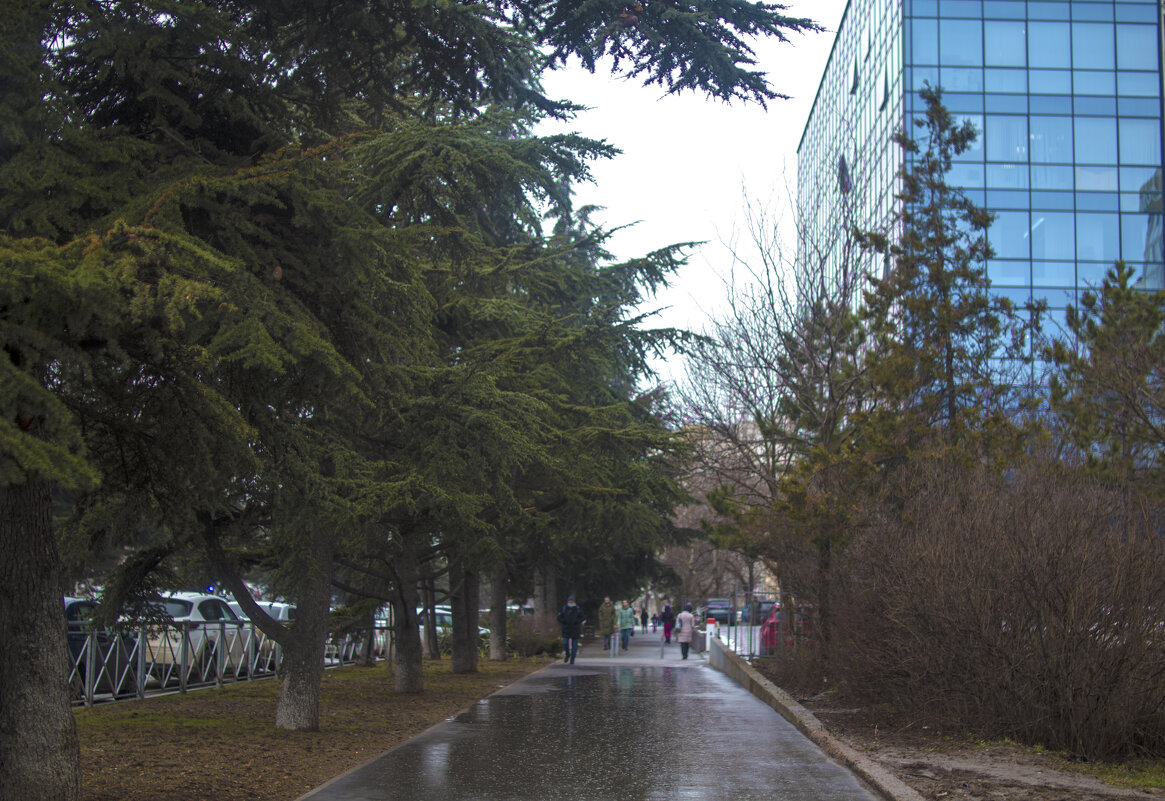 На проспекте  Победы - Валентин Семчишин