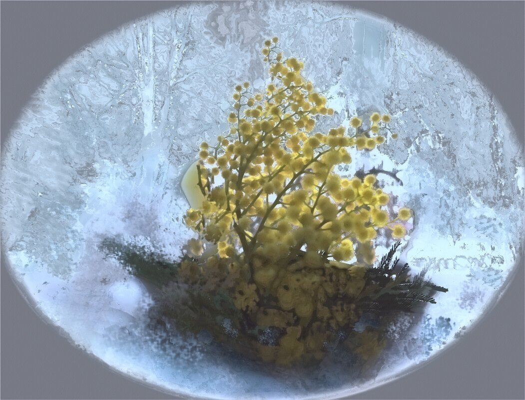 Мимоза. - Журавлев Владимир 