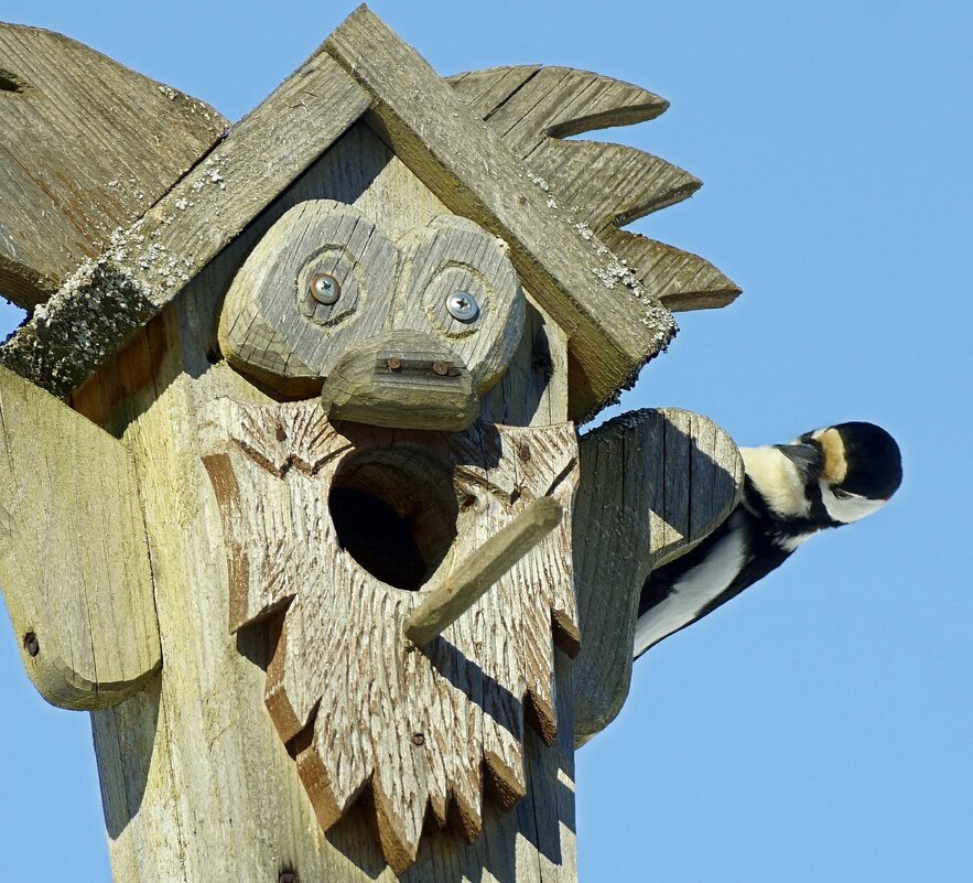 Рот открыть и не закрывать... - bybyakovo Ми