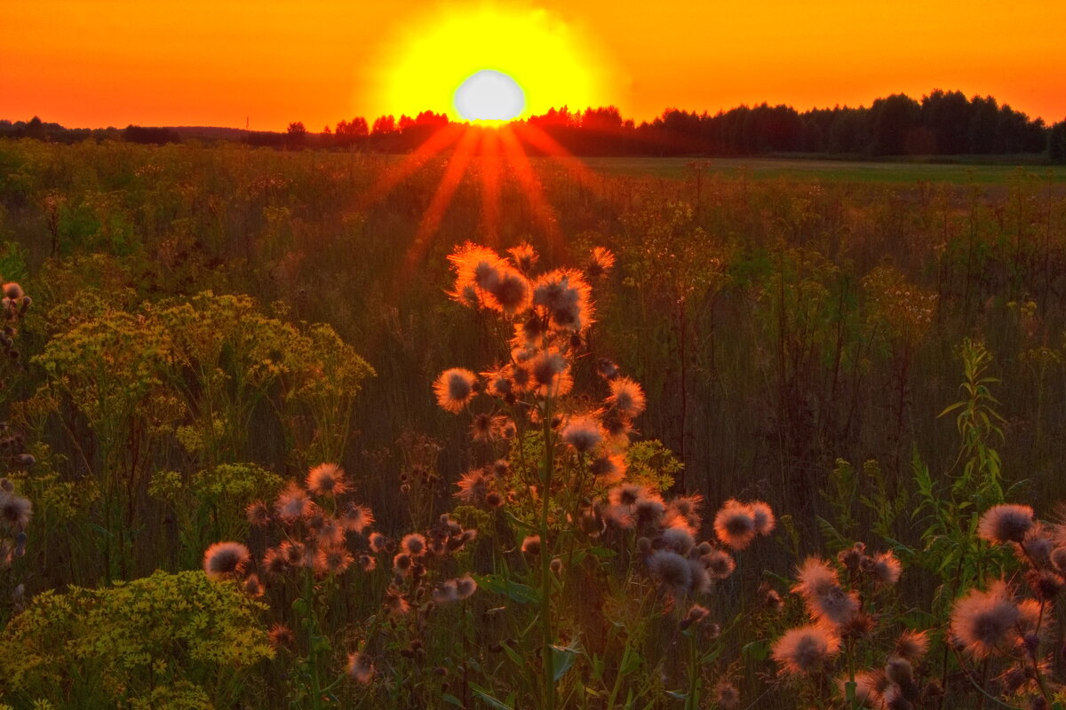Закат. - Анатолий Борисов