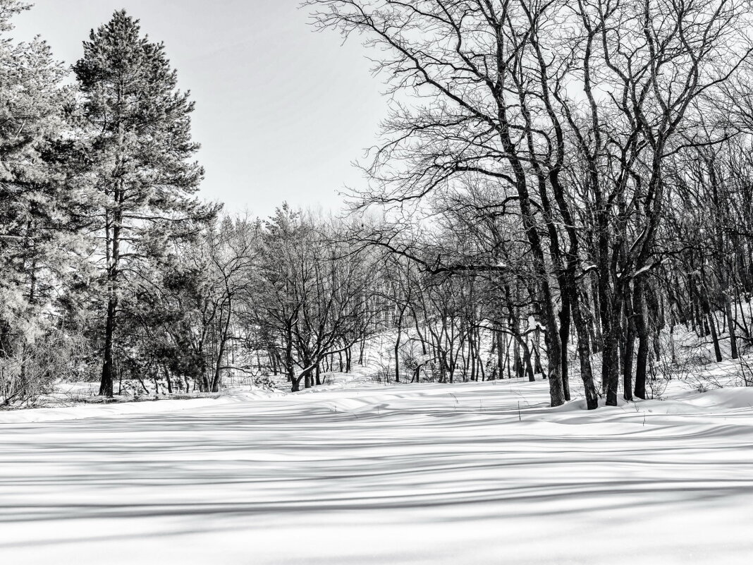 Утром..на том же месте.. - Юрий Стародубцев Утром..на том же месте.. - Юрий Стародубцев