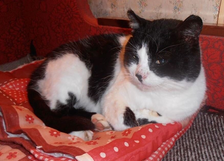 Бдительность :) - Наталья Бдительность :) - Наталья