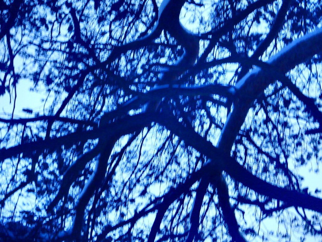 Природа - Михаил Природа - Михаил