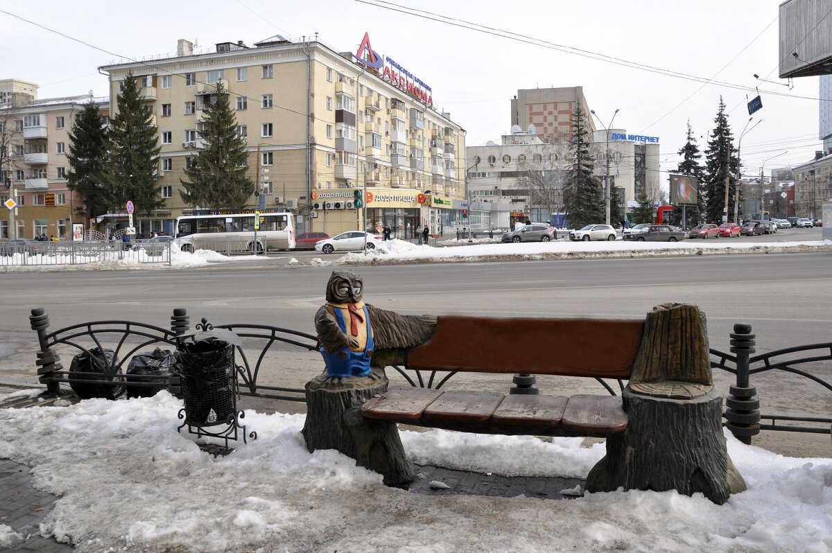 Сова в городе - Татьяна Машошина