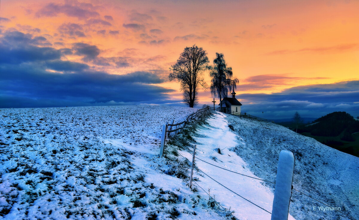 winter morning - Elena Wymann