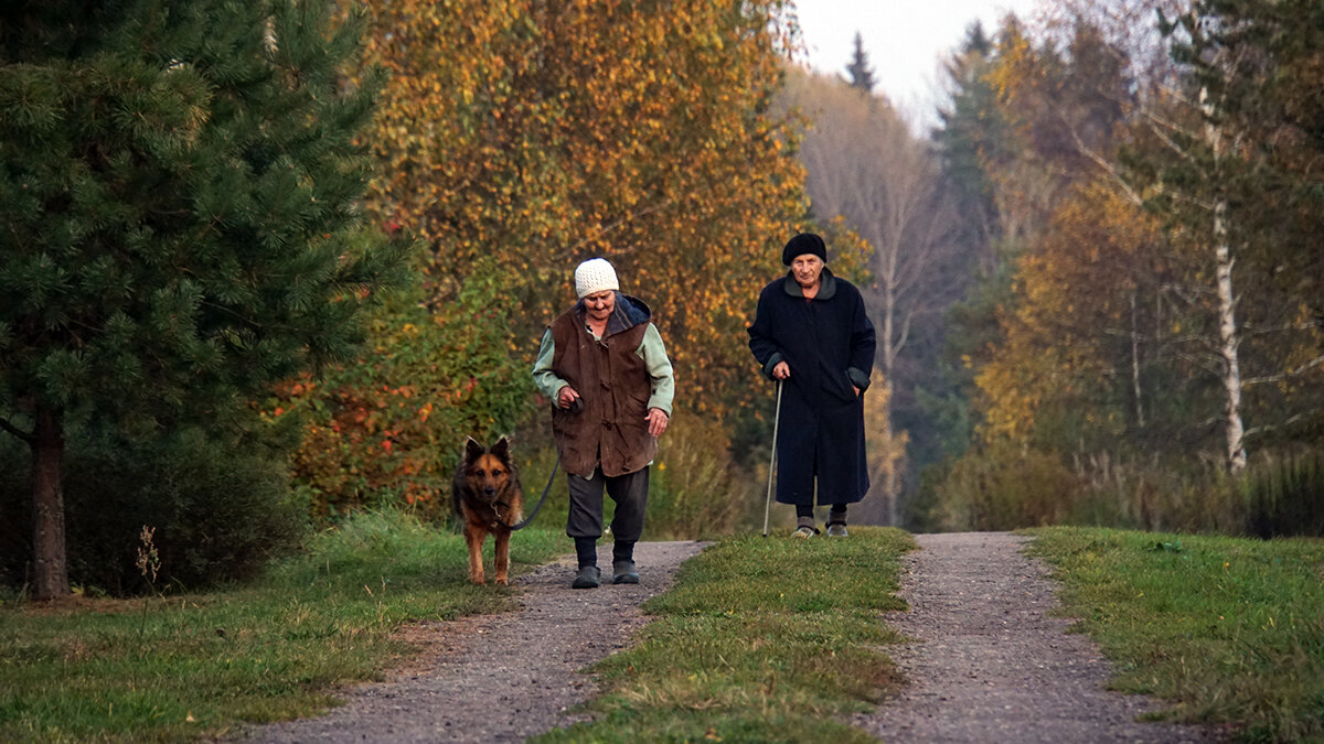 Все трое старенькие... - Галина Лубянникова 
